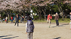 hana26 (273)_thumb.png